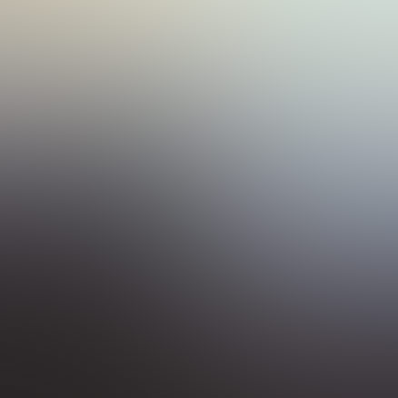 师资力量